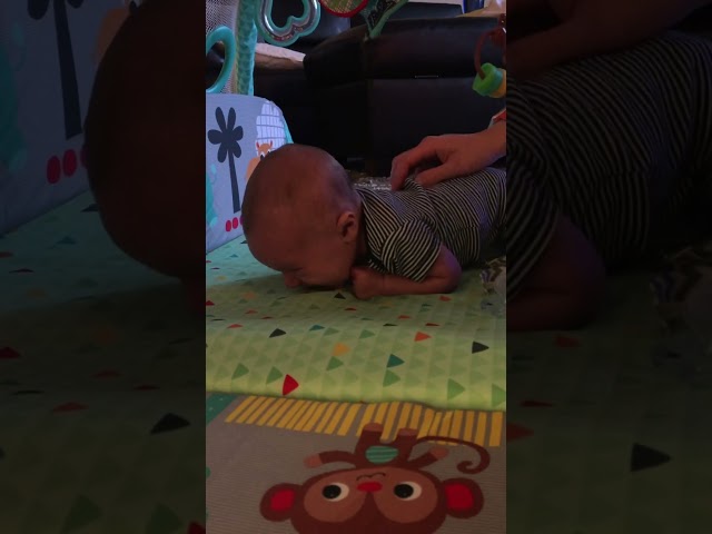 Baby’s First Crawl: Hilarious Attempts and Adorable Moments!