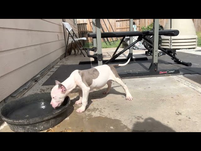 If you had to choose one? 😍 😩🔥🧬✈️