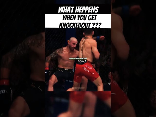 😵 What Really Happens When UFC Fighters Get Knocked Out? | The Science of KOs 💥🥊 #ufc  #mma