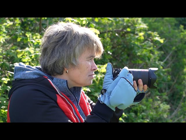 You need these gloves as a photographer: The Heat Company