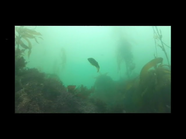 VR180 test2 yt3d injected