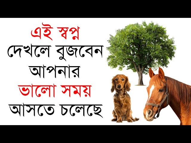 এই স্বপ্ন গুলো দেখলে বুজবেন আপনার ভালো সময় আসতে চলেছে !