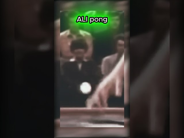 TALKSHOW ali e bruce bolinha veloz kung fu #shorts