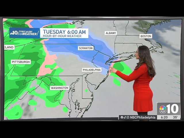 Michelle Rotella (December 2025 Compilation)