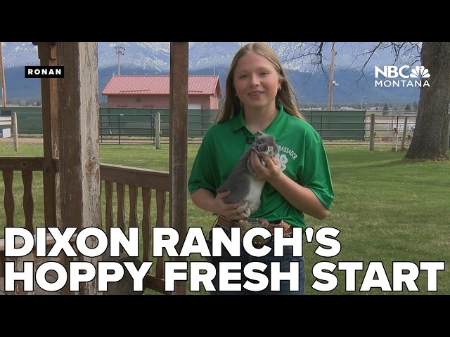 Dixon ranch teen's prized rabbits, symbols of Easter, spring season