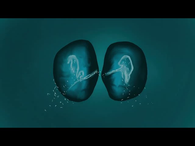 Elderbrook & Ahmed Spins - Waterfall (Extended) Official Visualiser