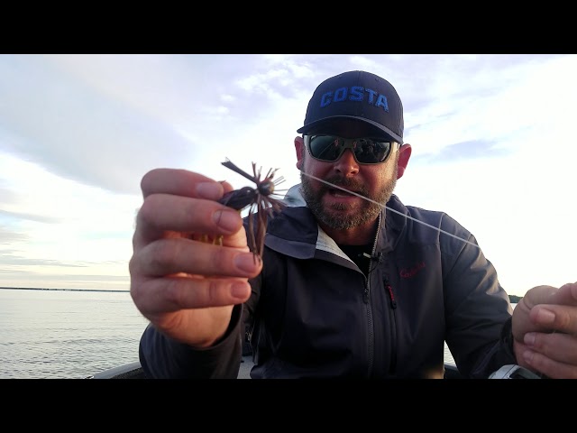 Bradley Hallman's secret tournament winning bait! 👀