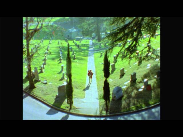 Toro Y Moi - "Empty Nesters" (official video)