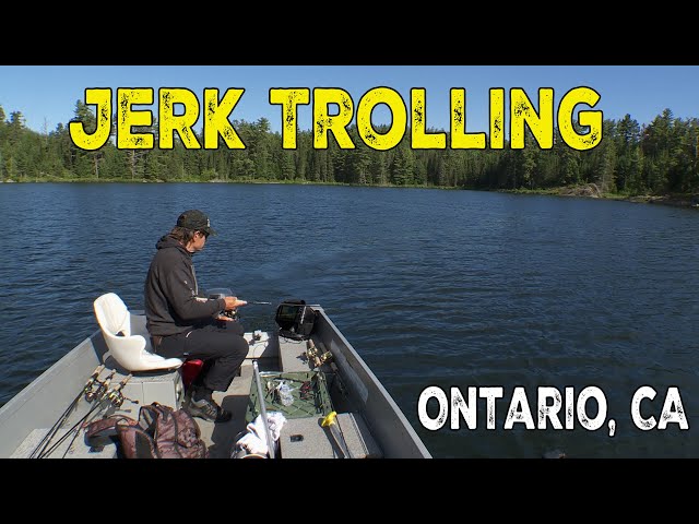 Jerk Bait Trolling for Deep Basin Walleyes