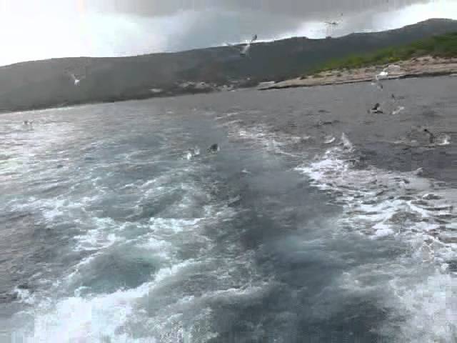 My World-Idę Dalej (Further I Go)