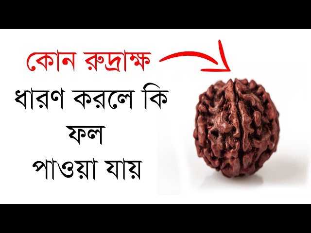 কোন রুদ্রাক্ষ ধারণ করলে কি ফল পাওয়া যায়