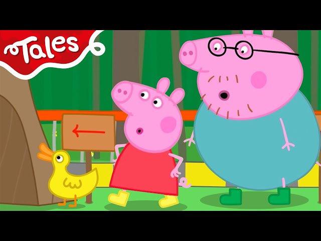Peppa Pig Gets Help From A Duck! 🐷 Peppa Pig Tales 🐷 Peppa Pig Episodes