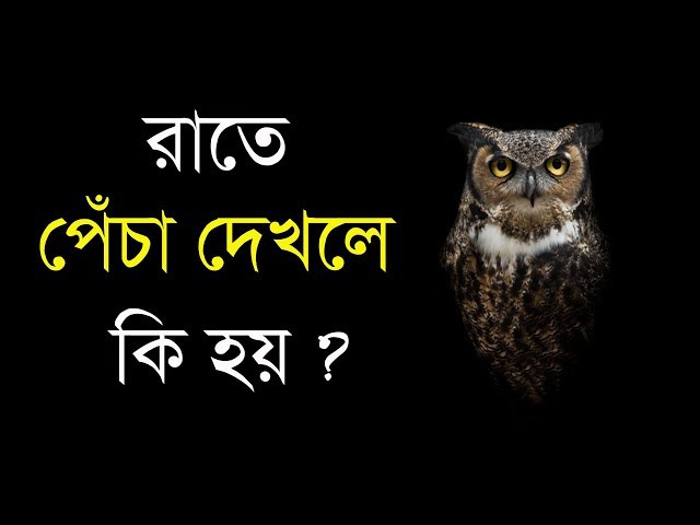 রাতের বেলা পেঁচা দেখলে কি ফল লাভ হয় !