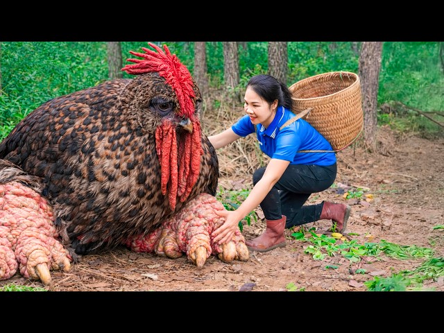 90 Day Build Green Life : Harvest Wild Quail in the forest - Transport bird, rat Go to Market Sell