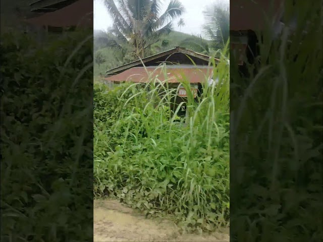 Fieldworks at Lebak, Sultan Kudarat