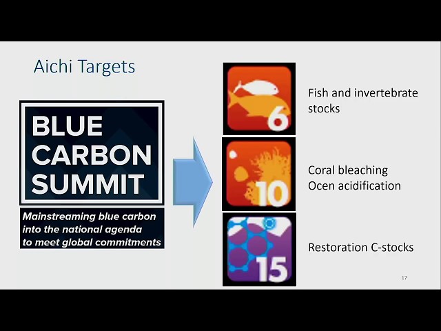 Opening Plenary- Blue Carbon Summit 2018