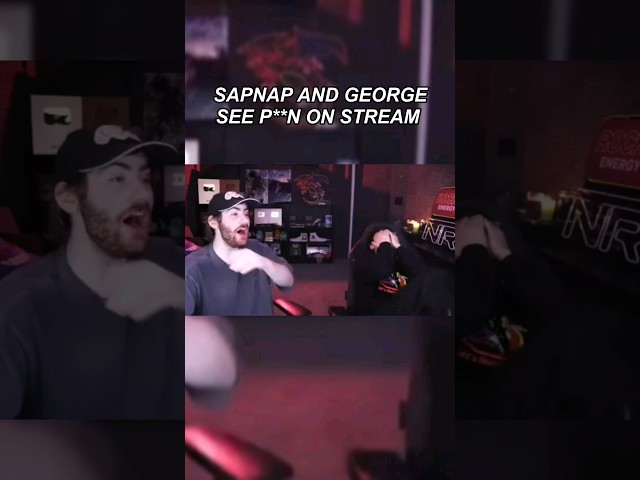SNF-REAKTION AUF 🌽 IM STREAM?!? #sapnap #georgenotfound #snf #dreamteam