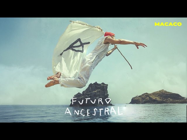 Macaco - Atreverse a Vivir (Visualizer)
