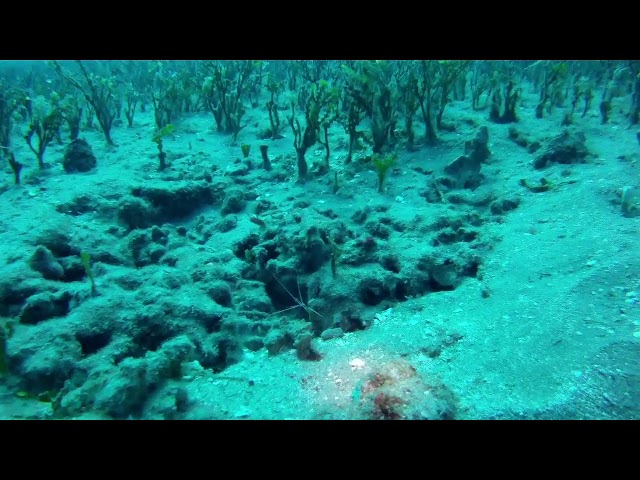 paul hugel Live Stream