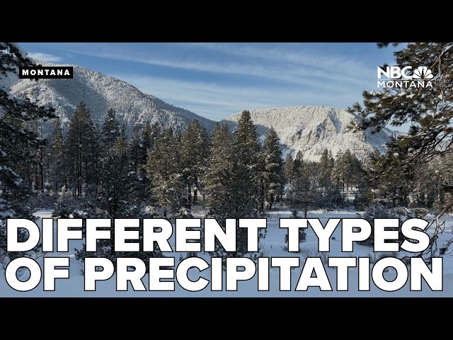 Breaking down the different types of precipitation