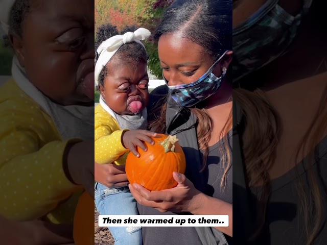 Pumpkin Toddler Activities