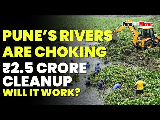 PMC NEWS | HEAVY MACHINERY UNLEASHED TO CRUSH PUNE’S CHOKING HYACINTH MONSTER | Pune times mirror