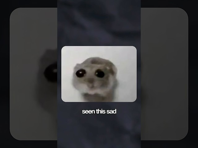 HOW MEMES REALLY STARTED!