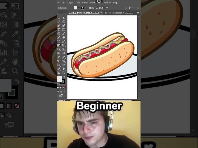 Beginner VS Pro Artist. Adobe Illustrator