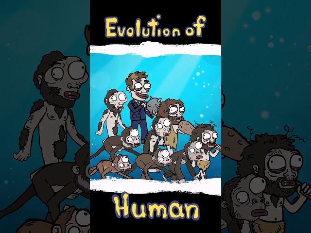 Human Evolution ... #evolution  #unicellular  #humanevolution