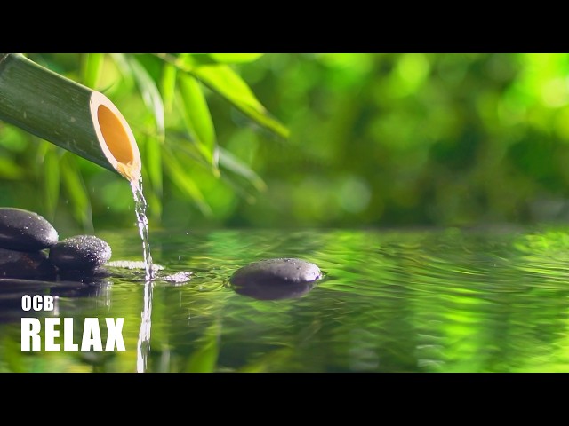 Relaxing Piano & Water Sounds 💧 Radio