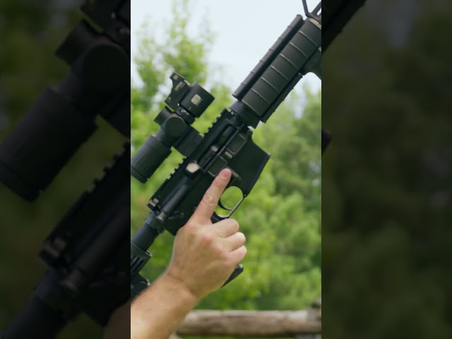 We did it again... The PSA M4A1 | Palmetto State Armory
