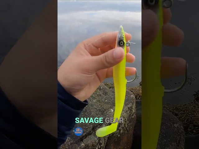 Catch and Release! Fishing for Pollock on Norwegian Shore Day 3