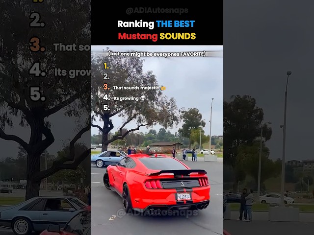 BEST Mustang Sounds 🔥
