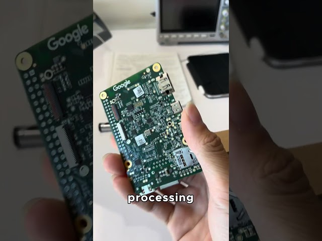 Google AI TPU Killer? #electronics #embedded #riscv #ai #edgecomputing #processor