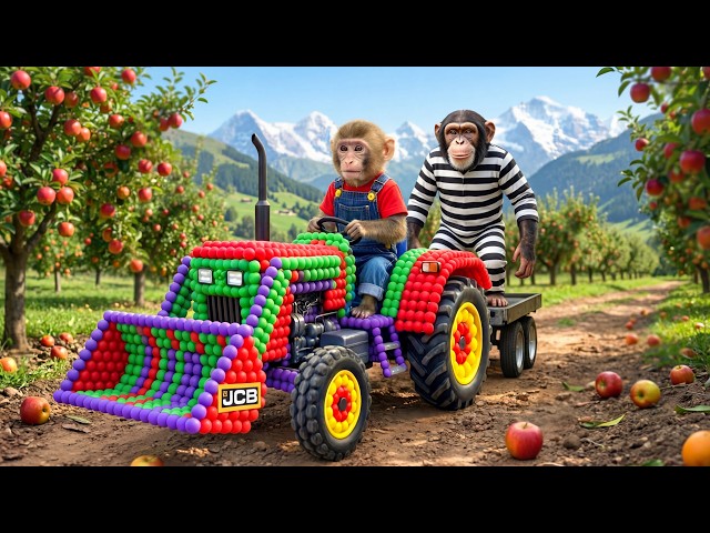 Nana Monkey and JCB Tractor Excavator to Harvest Oranges and Catch a Sneaky Thief on the Farm!