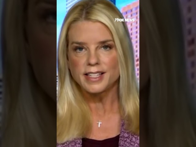 Bondi issues CHILLING warning to Dem over Elon Musk rhetoric #foxnews #attorneygeneral #elonmusk