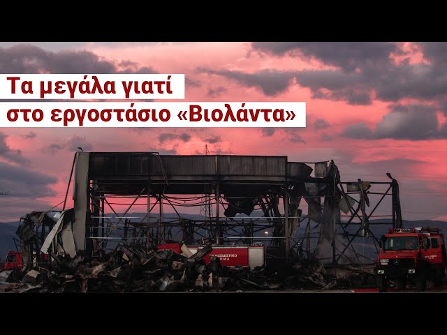 «Βιολάντα»: Τι έγινε στο εργοστάσιο και πέθαναν 5 εργαζόμενες; - «Δεν θέλω ου!» (Ep17)
