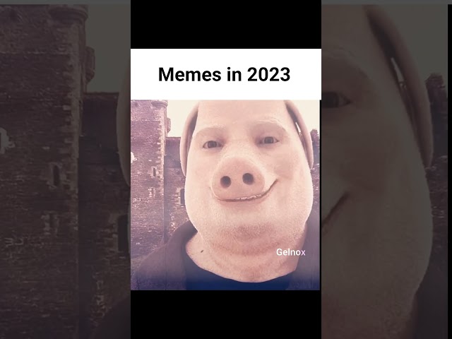 Memes 2025 vs 2023