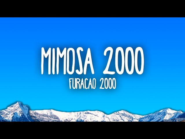 Furacão 2000 - Mimosa 2000