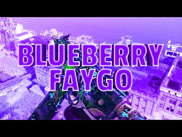BLUEBERRY FAYGO - Call Of Duty Montage