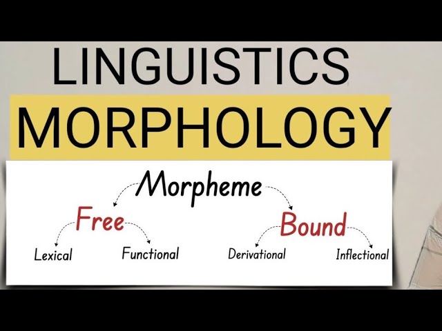 Morphology | Linguistics in hindi lecture