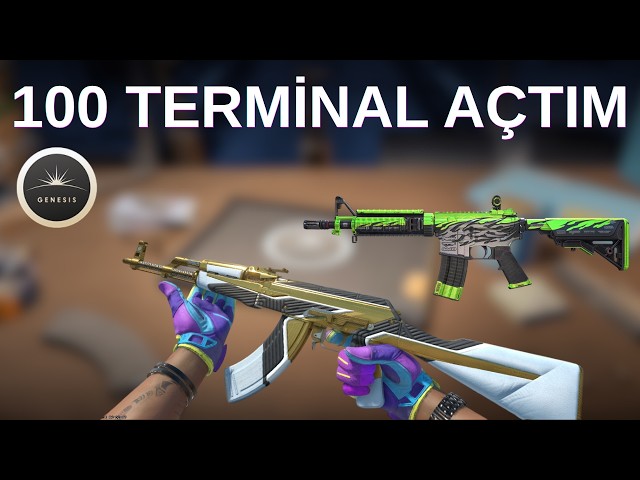 CS2 | Are Doğuş Terminals Still Profitable? | Terminal Expansion