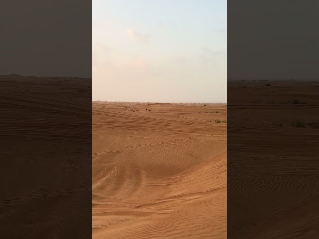 middle east dubai desert landscape