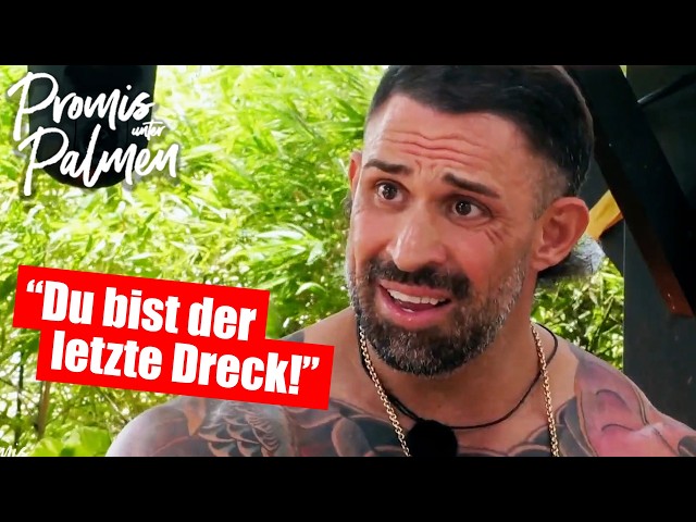 EDITH STEHFEST GEWINNT PROMIS UNTER PALMEN?!?