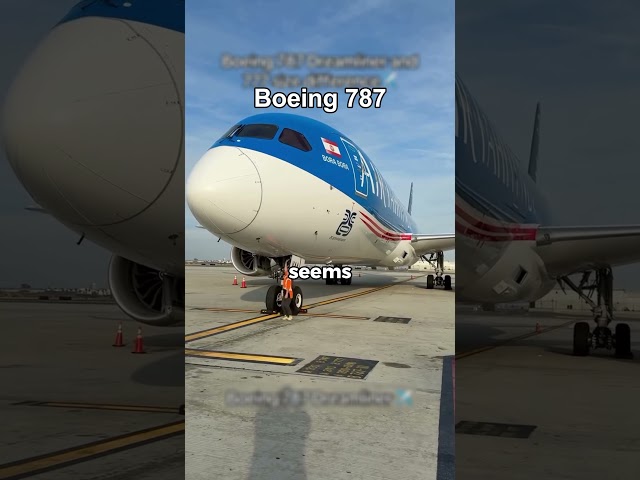 The Real Size of Airplanes 😳