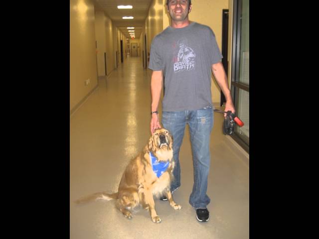 Last Comic Standing Comedian Jon Heffron at The Barkley Pet Hotel & Day Spa as a Celebrity Guest.