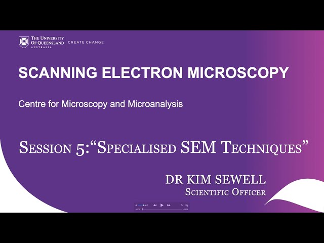 SEM Theory Course: Session 5 Specialised SEM Techniques