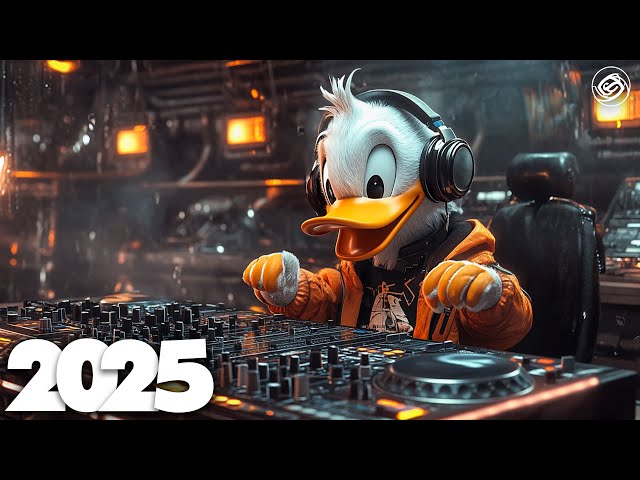 EDM Mashup Mix 2025 | Best Mashups & Remixes of Popular Songs - Party Music 2025 #4