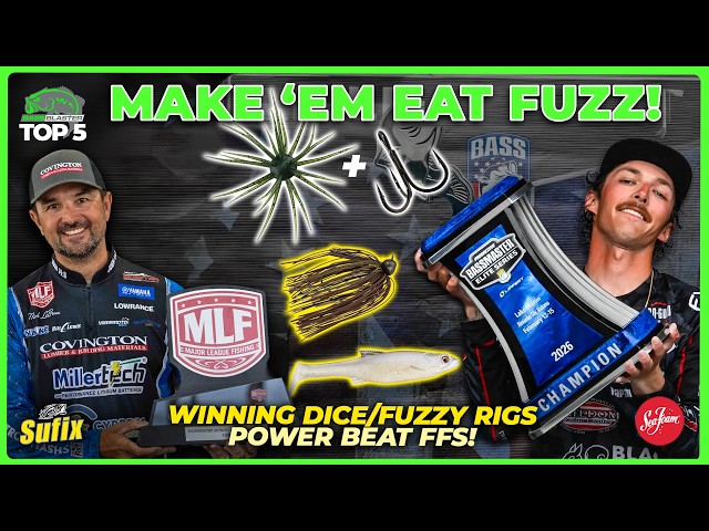 Fuzz bait winning rigs! Power beat FFS? Flip flop? Top 5 of the Week in Bass Fishing
