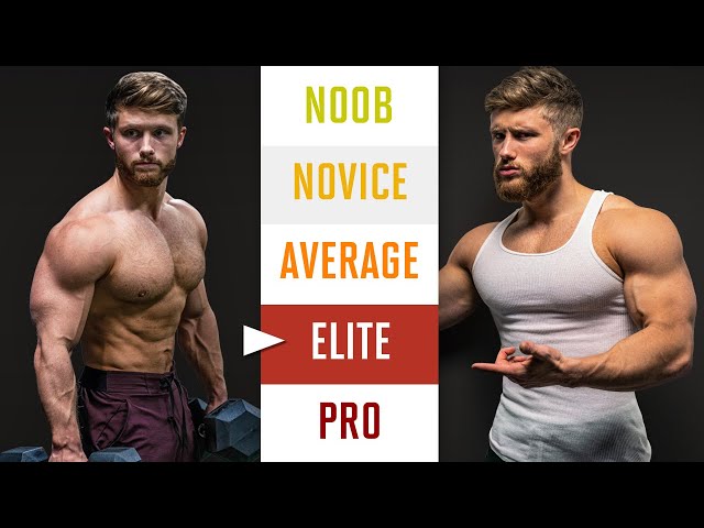 How To Build Muscle (Explained In 5 Levels)